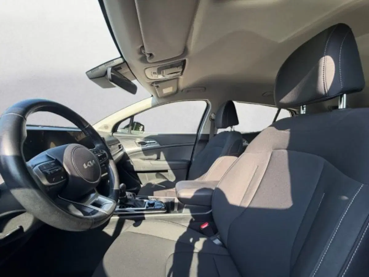 Kia Sportage usata a Udine (8)