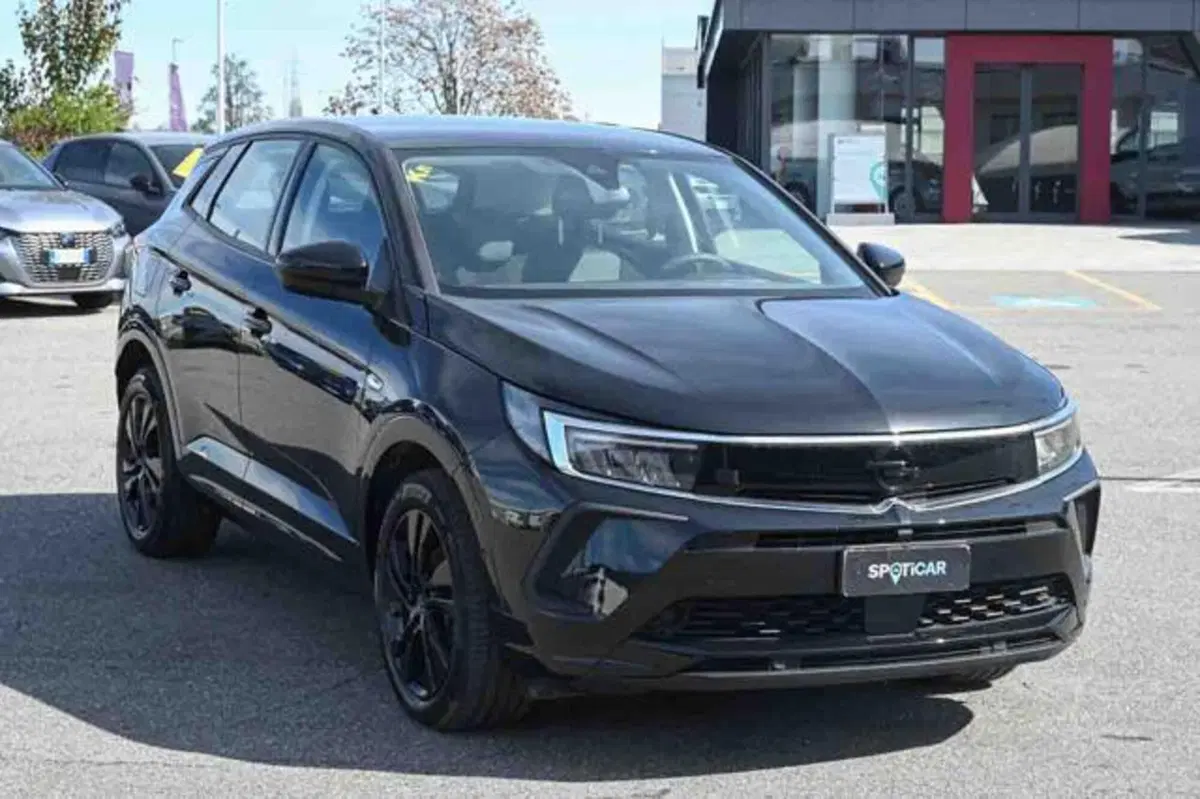Opel Grandland usata a Torino (2)