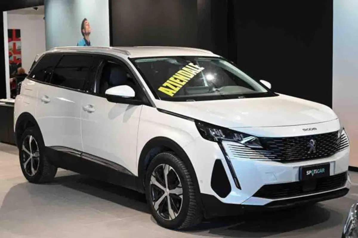 Peugeot 5008 usata a Torino (2)