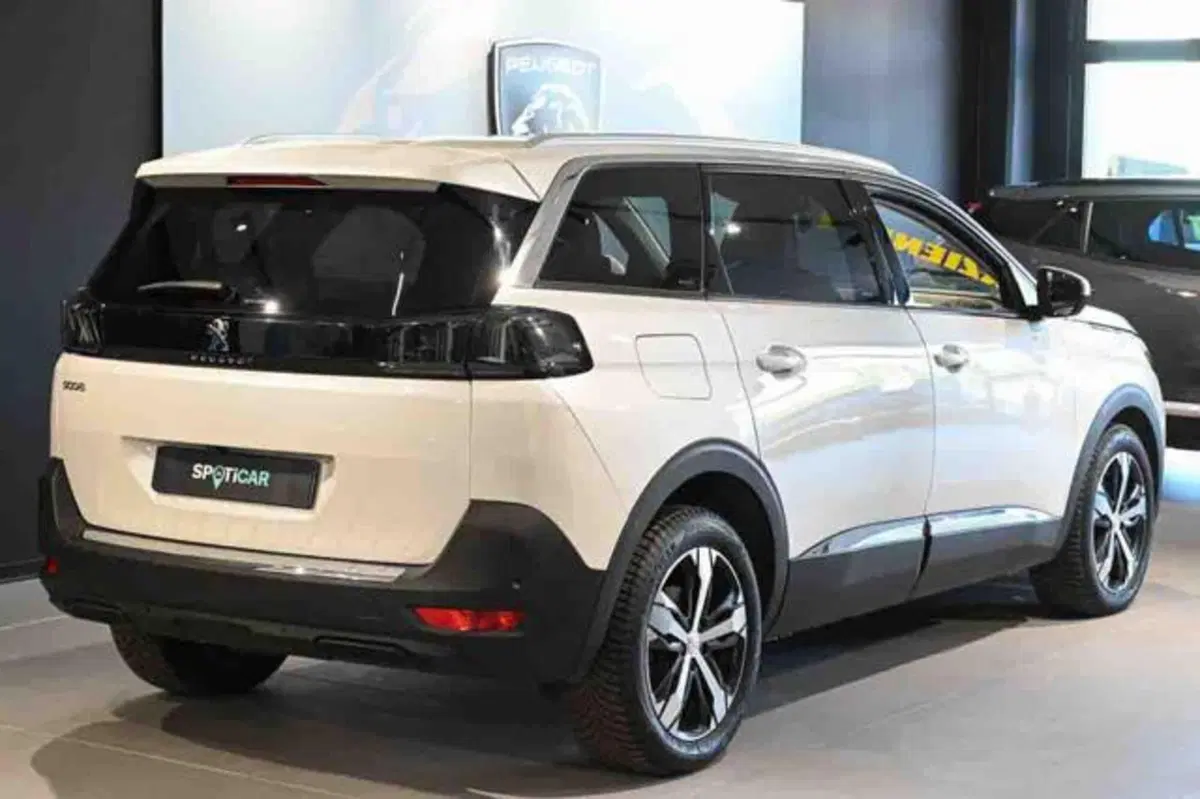 Peugeot 5008 usata a Torino (3)