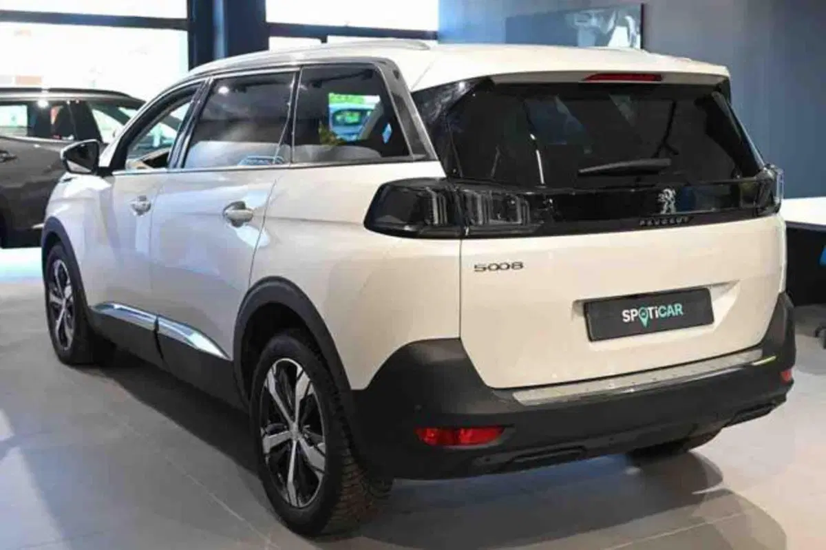 Peugeot 5008 usata a Torino (4)