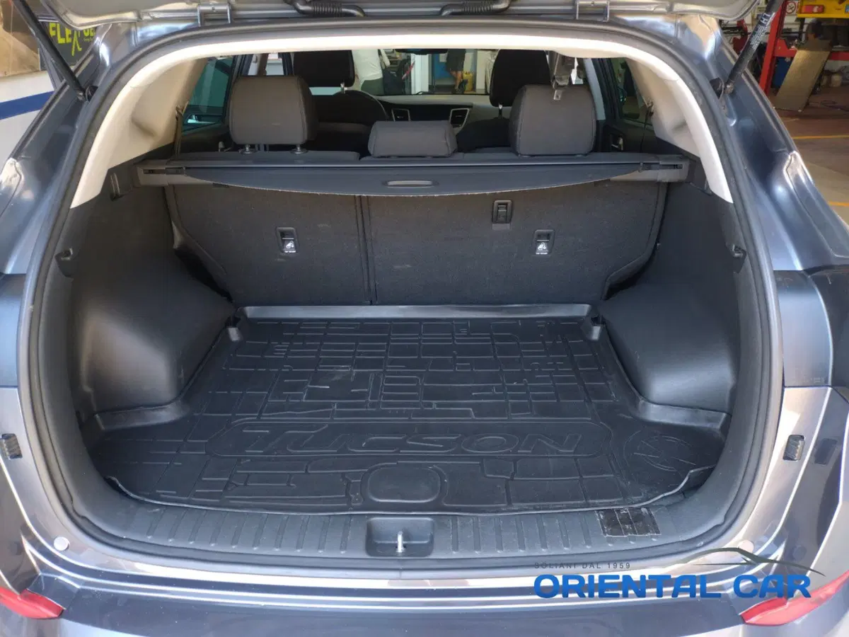 Hyundai Tucson usata a La Spezia (19)