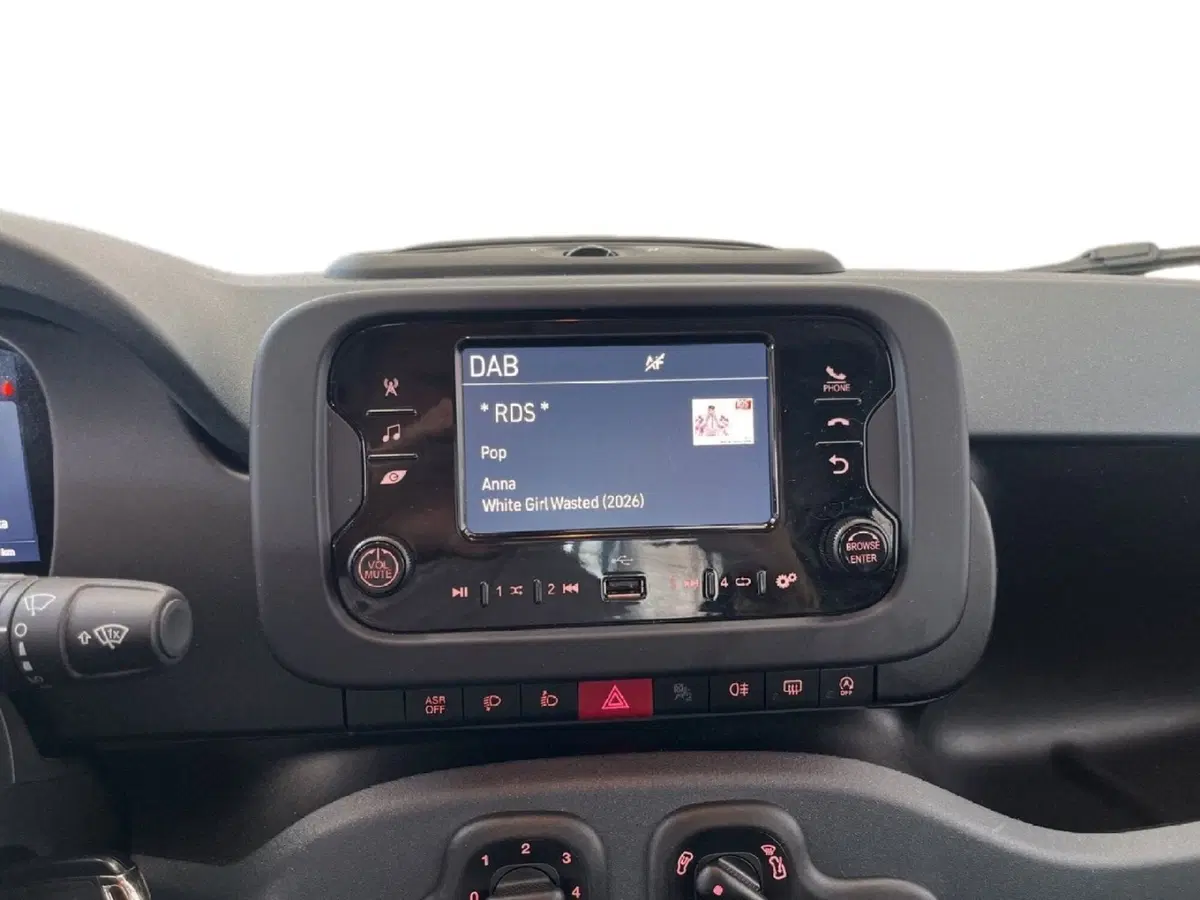 Fiat Pandina usata a Torino (13)