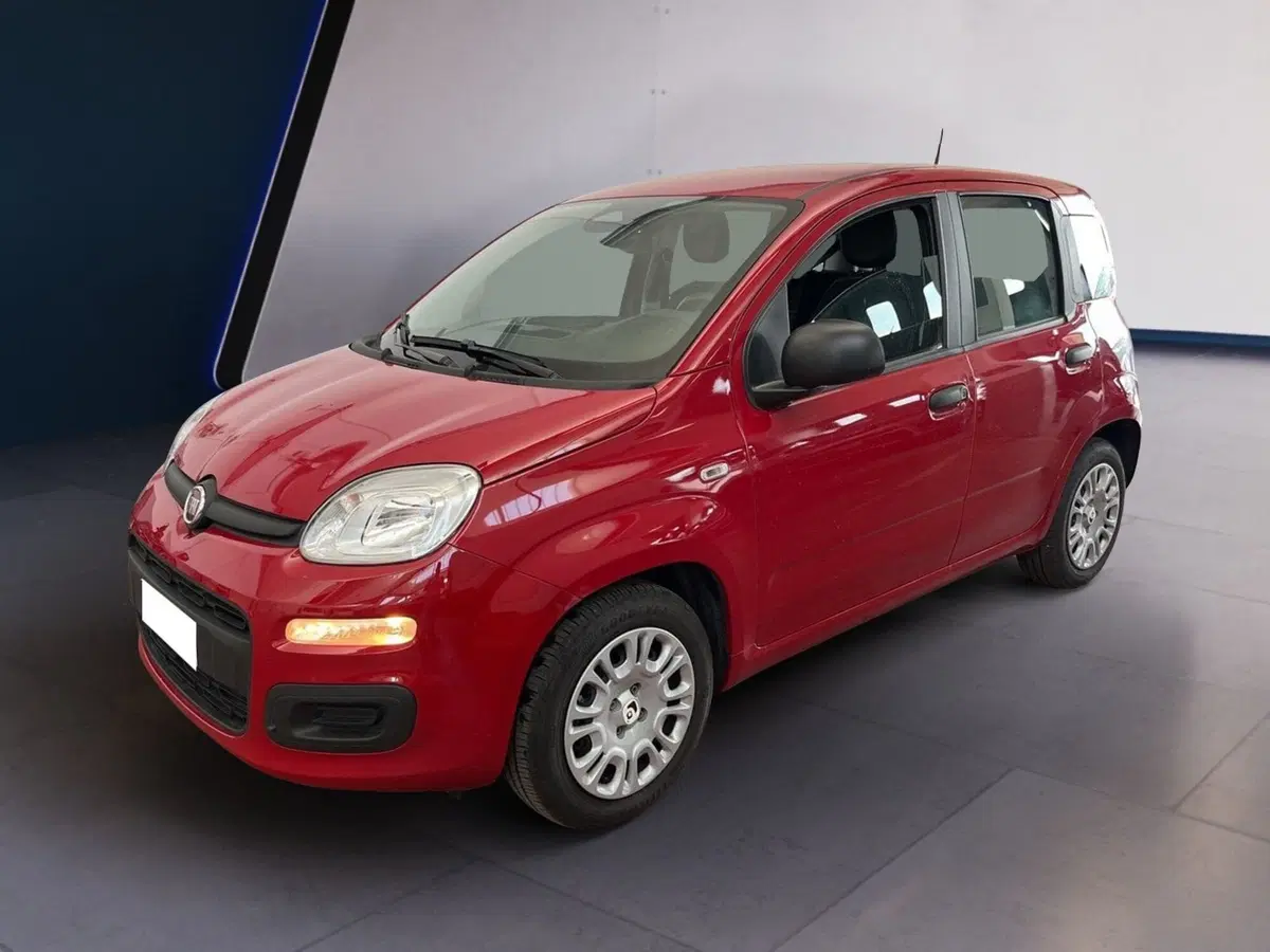 Fiat Pandina usata a Torino (2)