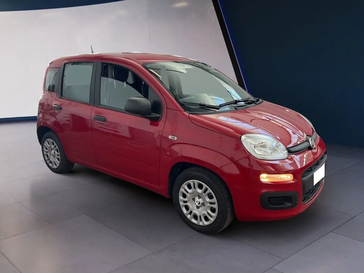 Fiat Pandina usata a Torino (3)