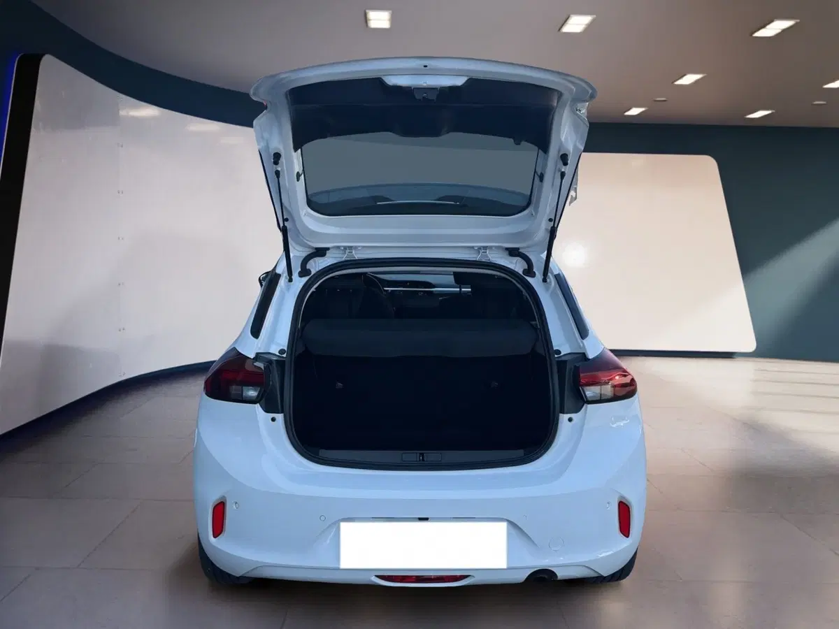 Opel Corsa usata a Torino (7)