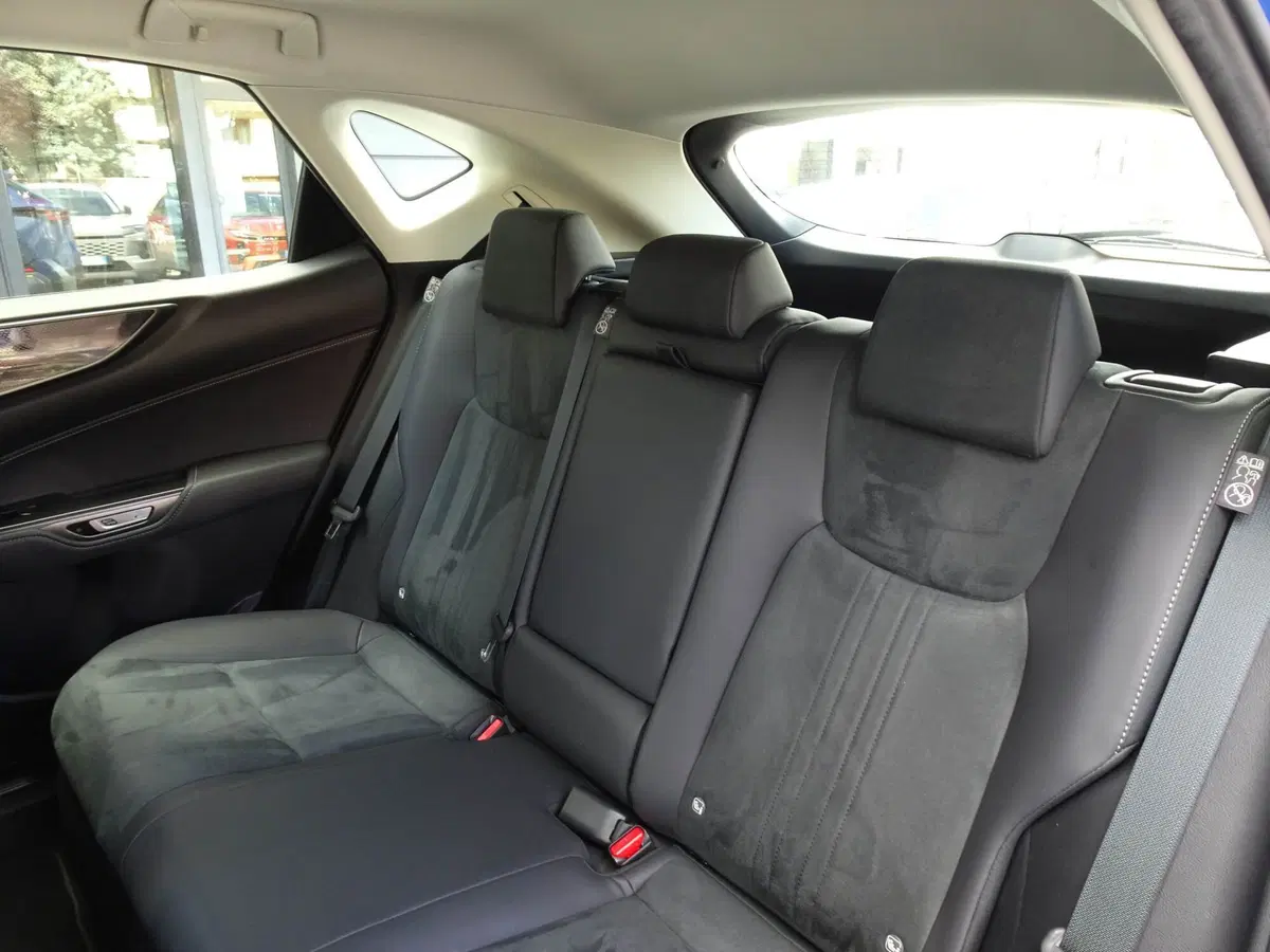 Lexus NX usata a Vicenza (9)