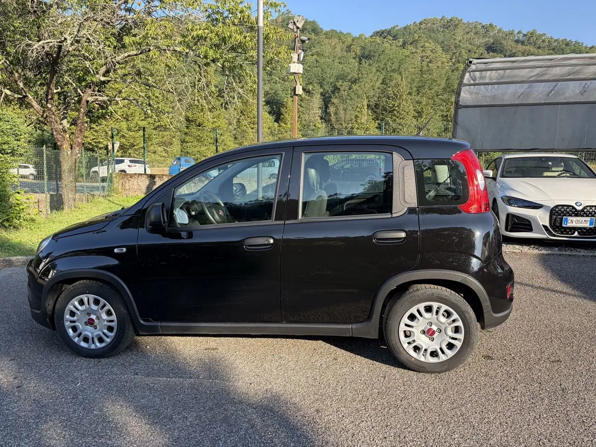 Fiat Panda Cross usata a La Spezia (7)