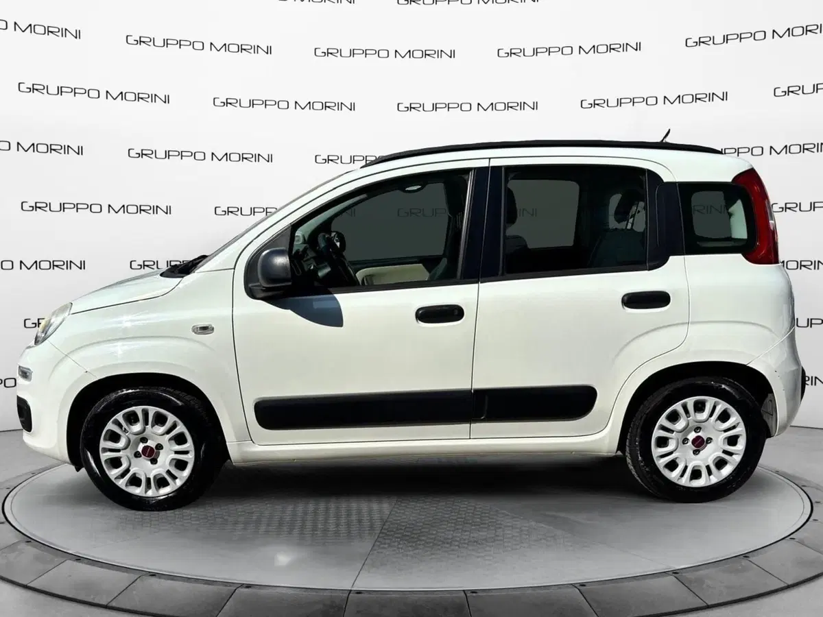 Fiat Panda usata a Modena (4)