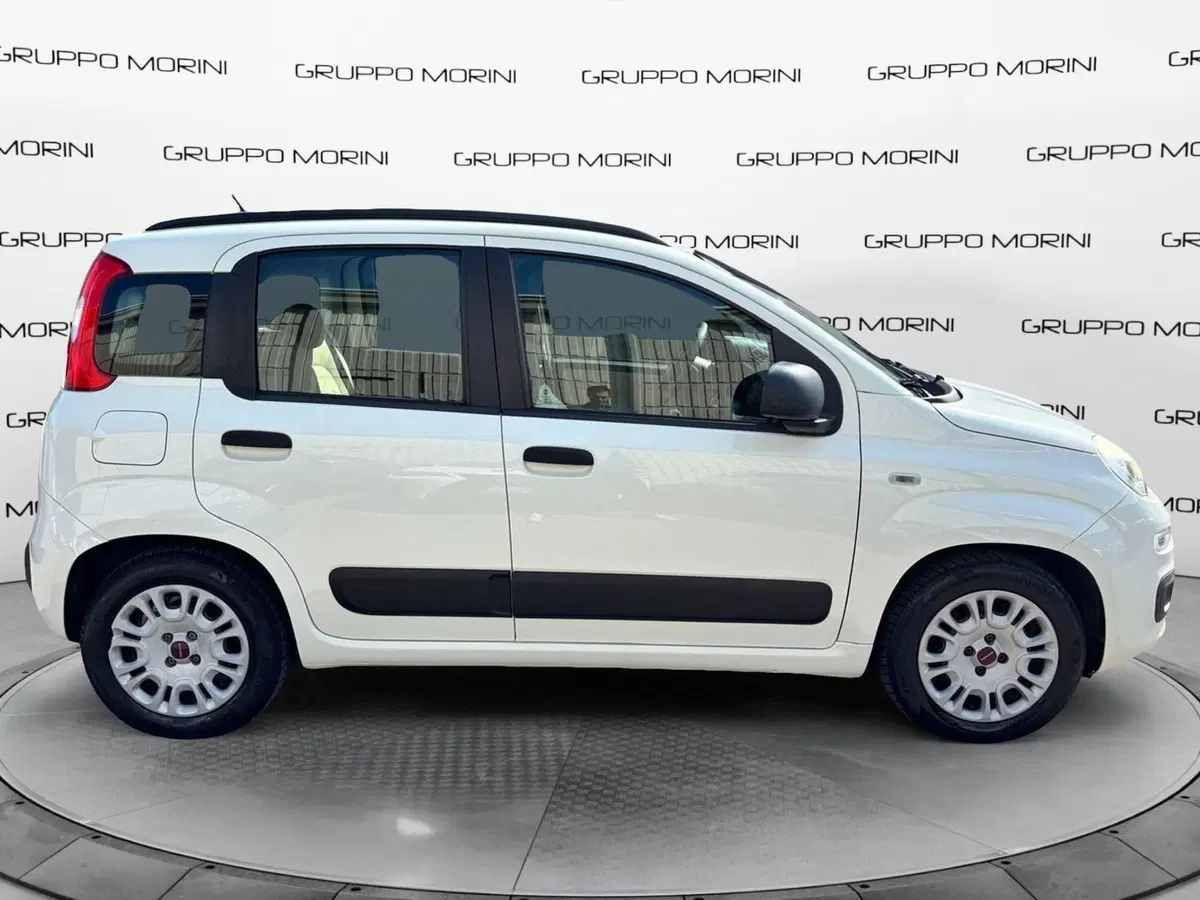 Fiat Panda usata a Modena (5)