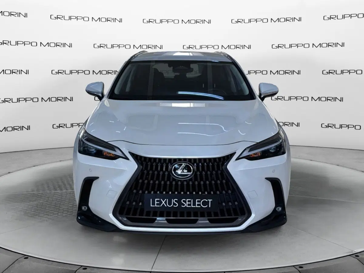 Lexus NX usata a Bologna