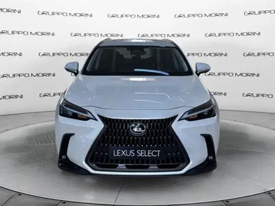 Lexus NX Plug-in 4WD Premium del 2025 usata a San Lazzaro di Savena