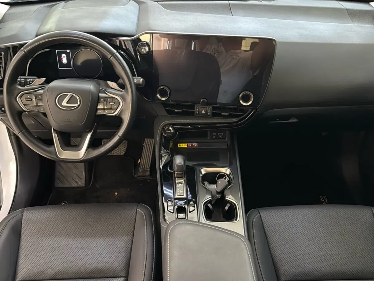 Lexus NX usata a Bologna (10)