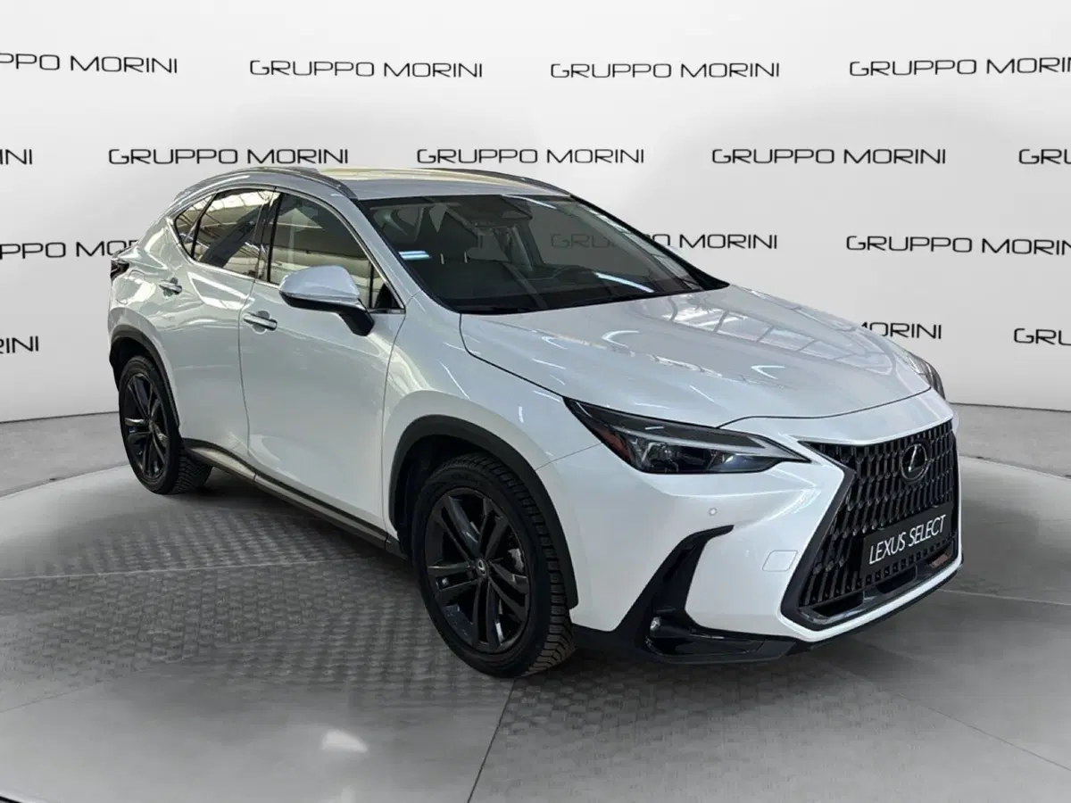 Lexus NX usata a Bologna (2)