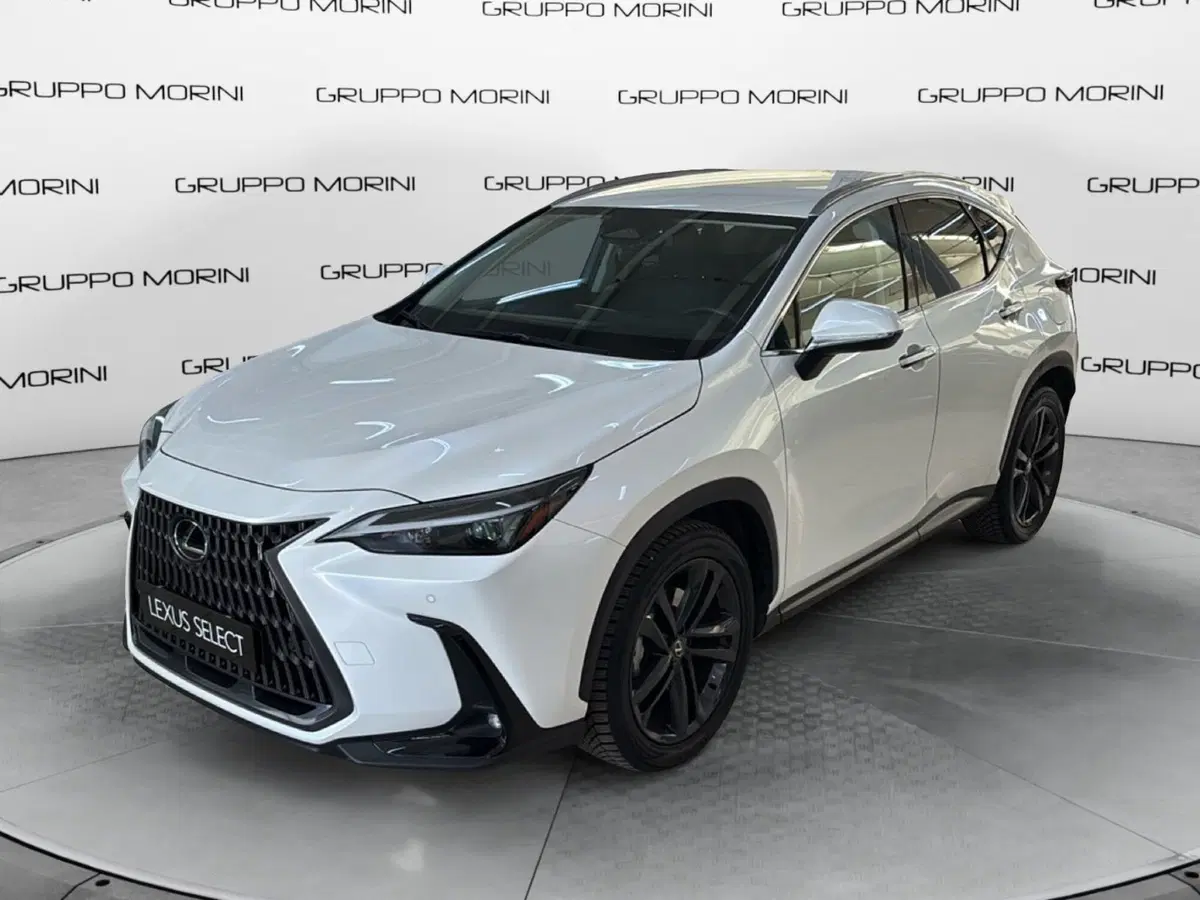 Lexus NX usata a Bologna (3)