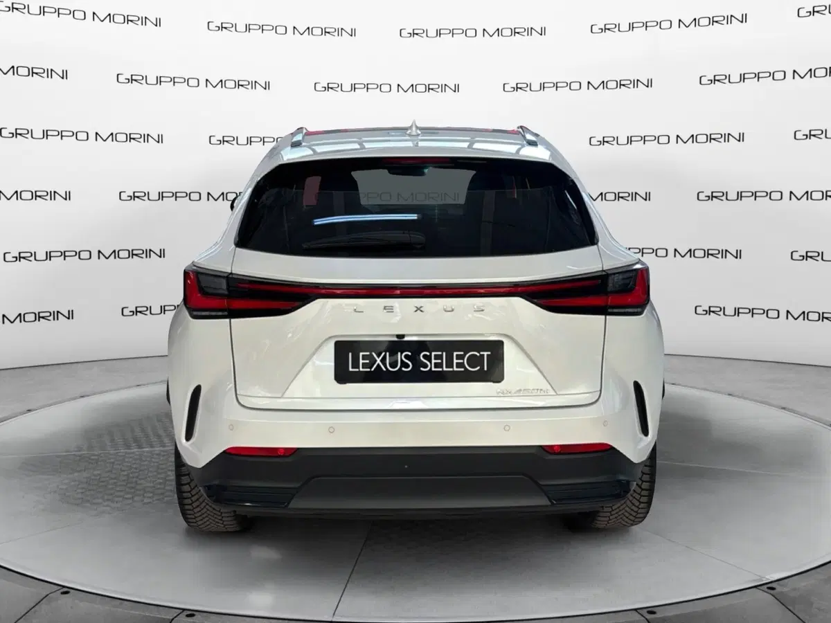 Lexus NX usata a Bologna (4)