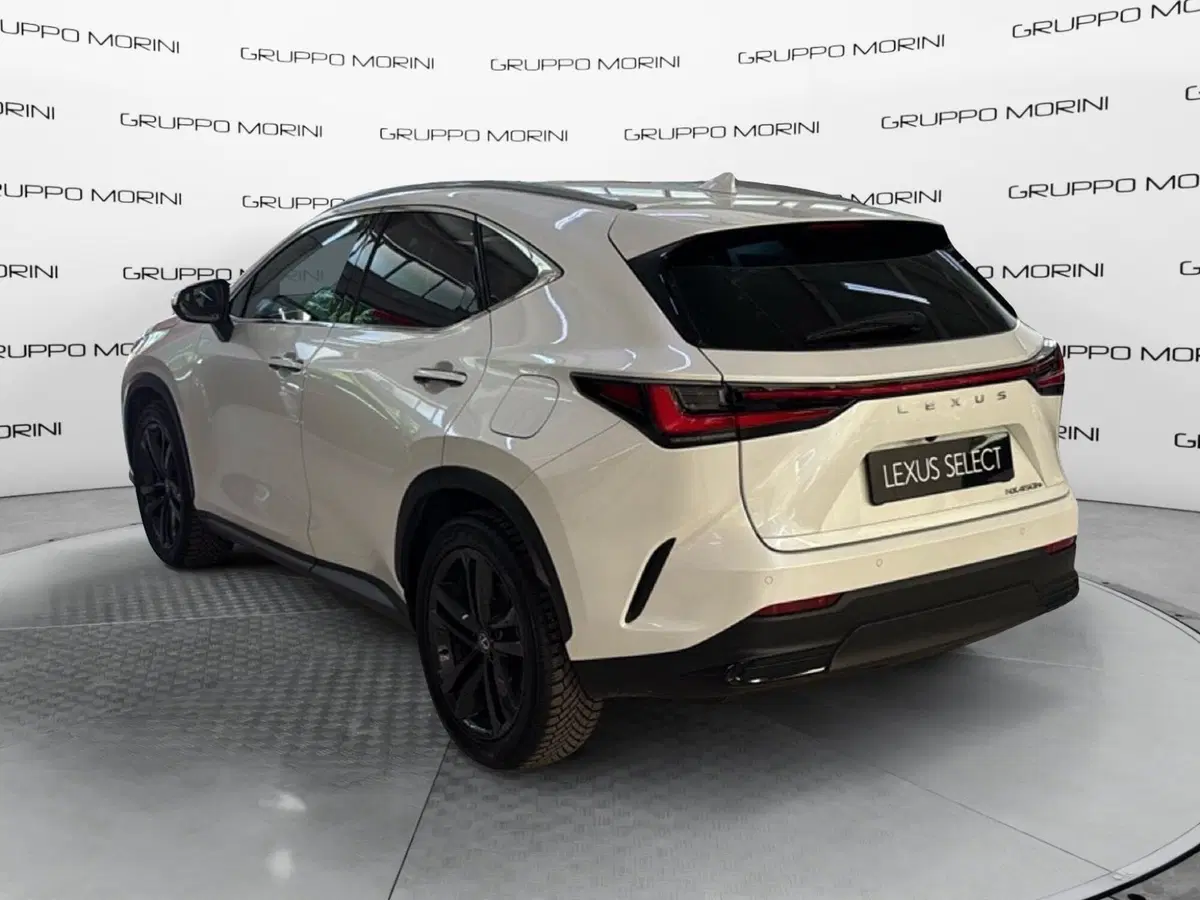 Lexus NX usata a Bologna (5)