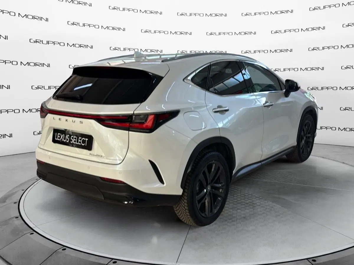 Lexus NX usata a Bologna (6)