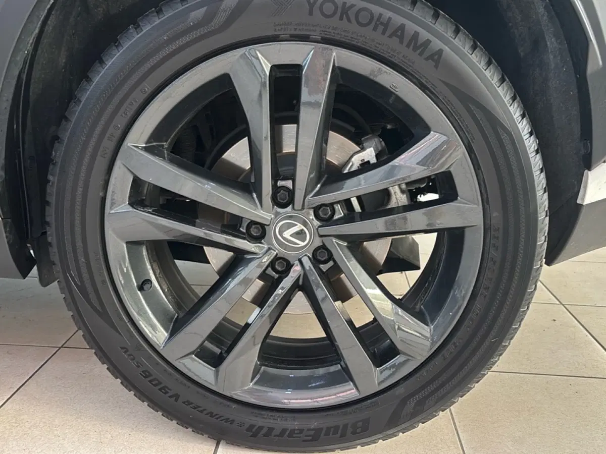 Lexus NX usata a Bologna (7)