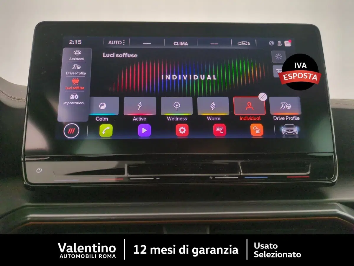 Cupra Formentor usata a Roma (20)