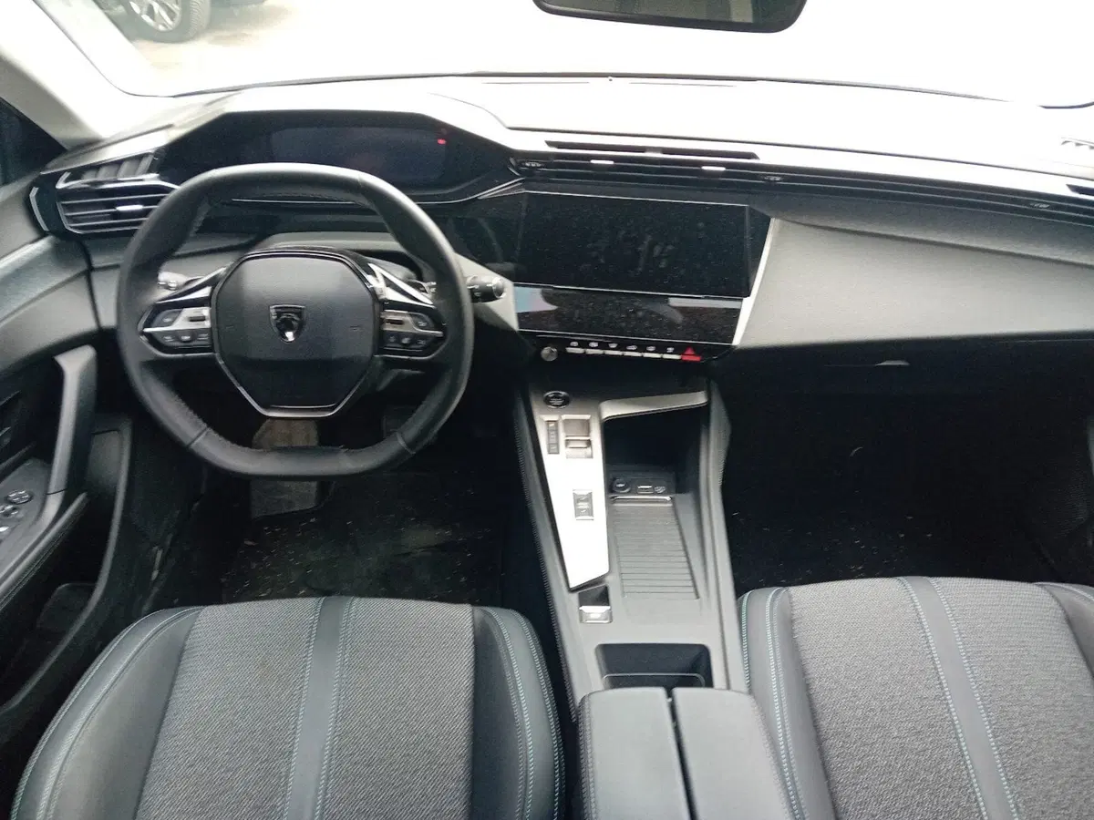 Peugeot 308 SW usata a Pordenone (14)