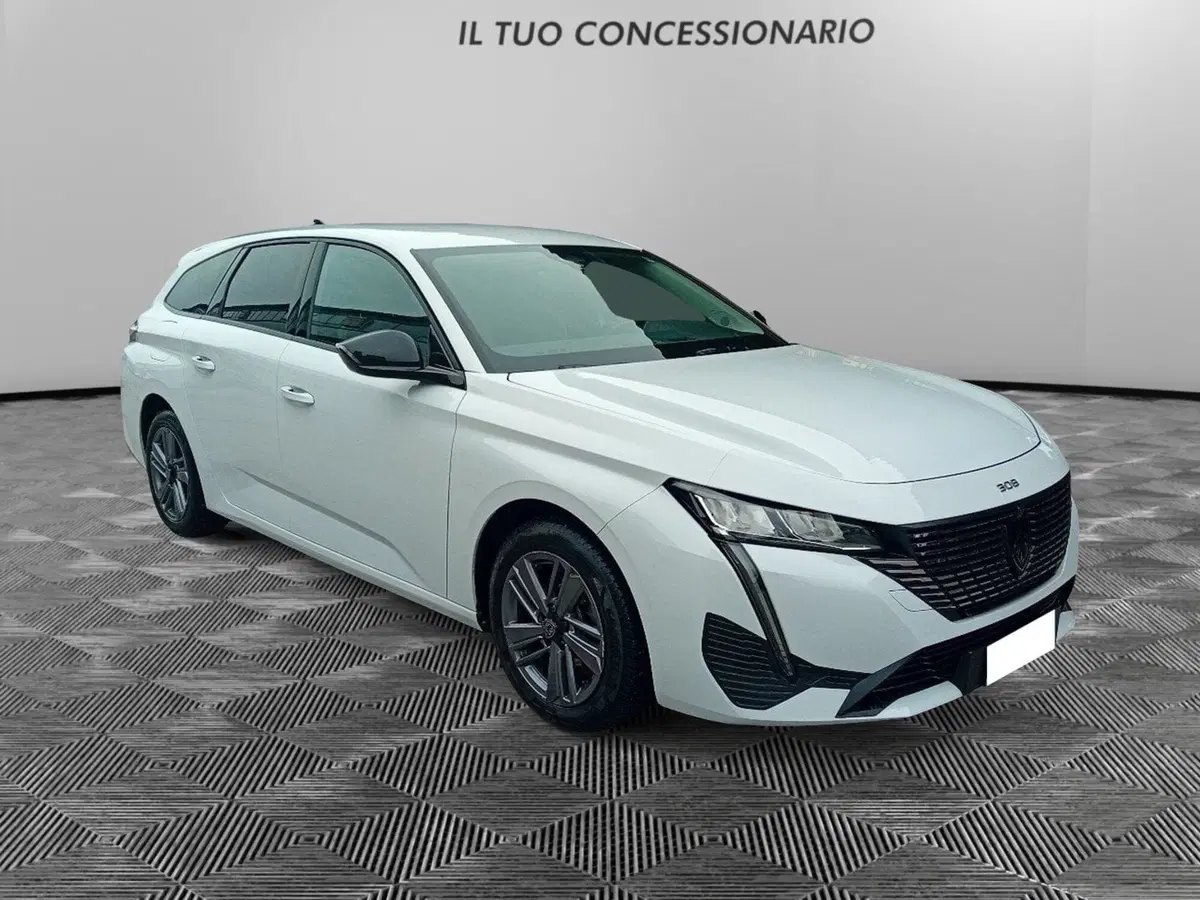 Peugeot 308 SW usata a Pordenone (7)