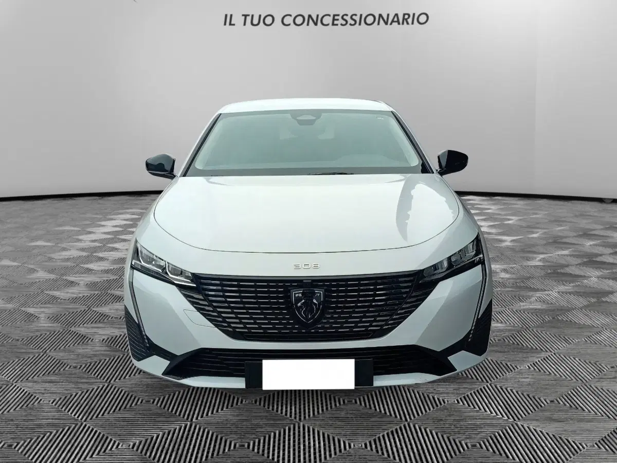 Peugeot 308 SW usata a Pordenone (8)