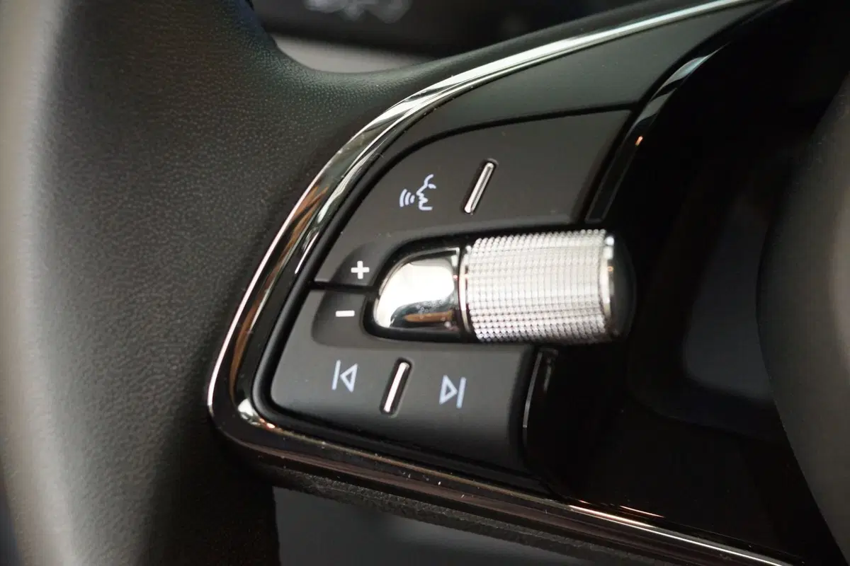 Skoda Kamiq usata a Torino (13)