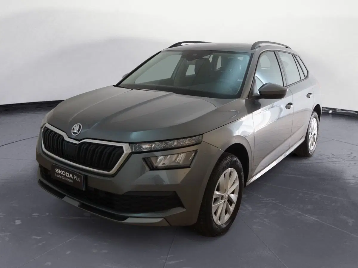 Skoda Kamiq usata a Torino (3)