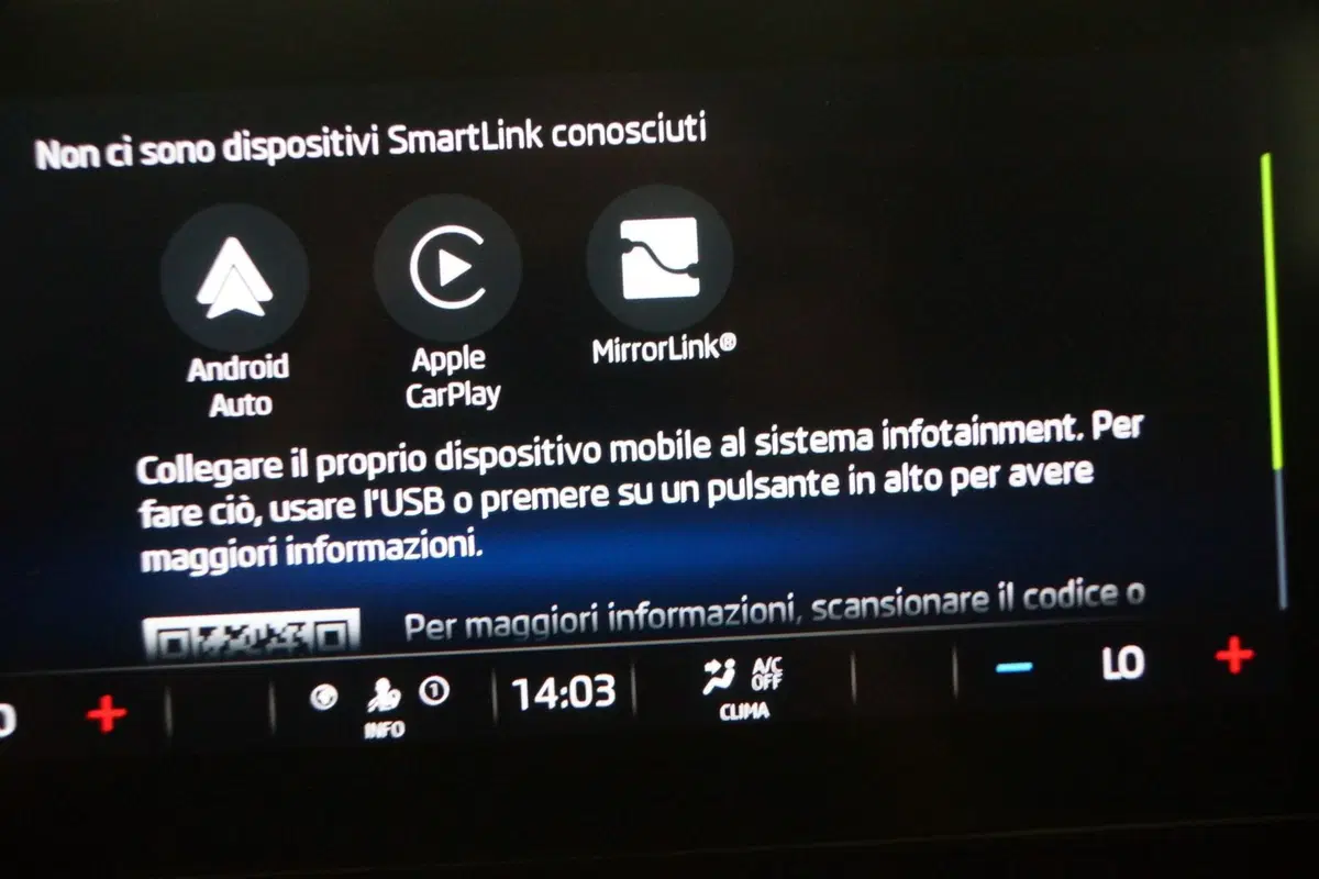 Skoda Octavia Station Wagon usata a Torino (19)