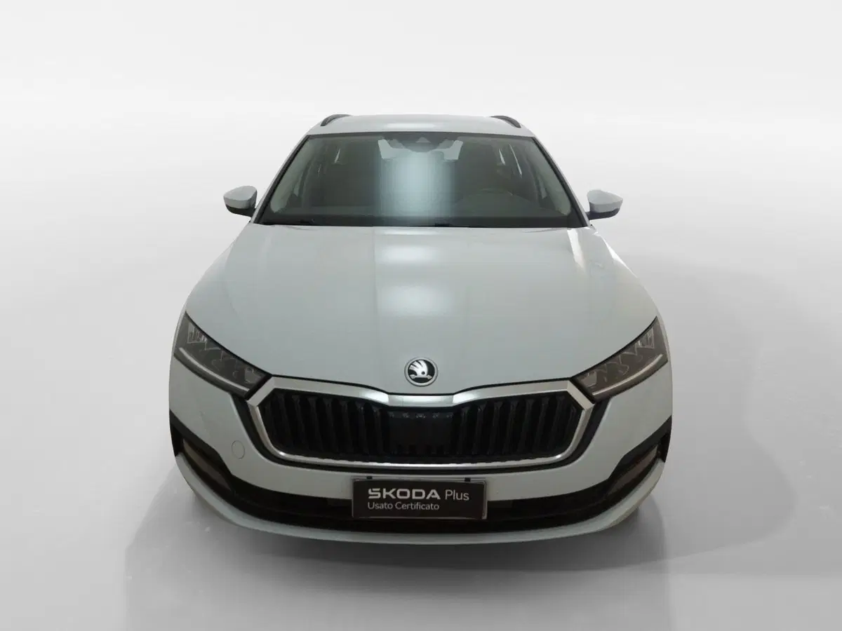 Skoda Octavia Station Wagon usata a Torino (2)
