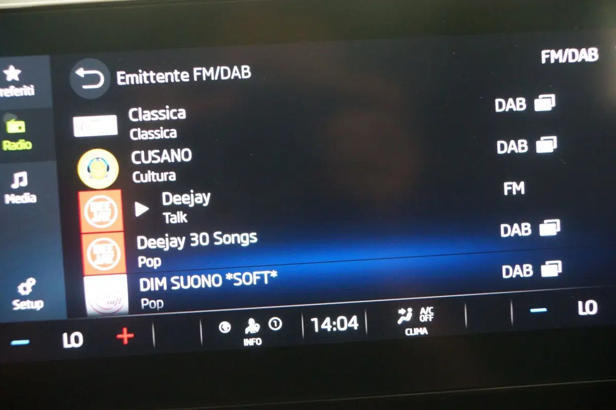 Skoda Octavia Station Wagon usata a Torino (20)