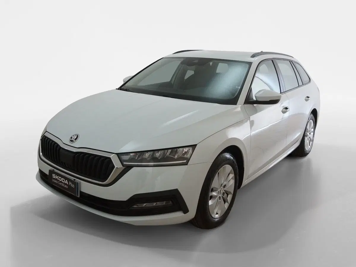 Skoda Octavia Station Wagon usata a Torino (3)
