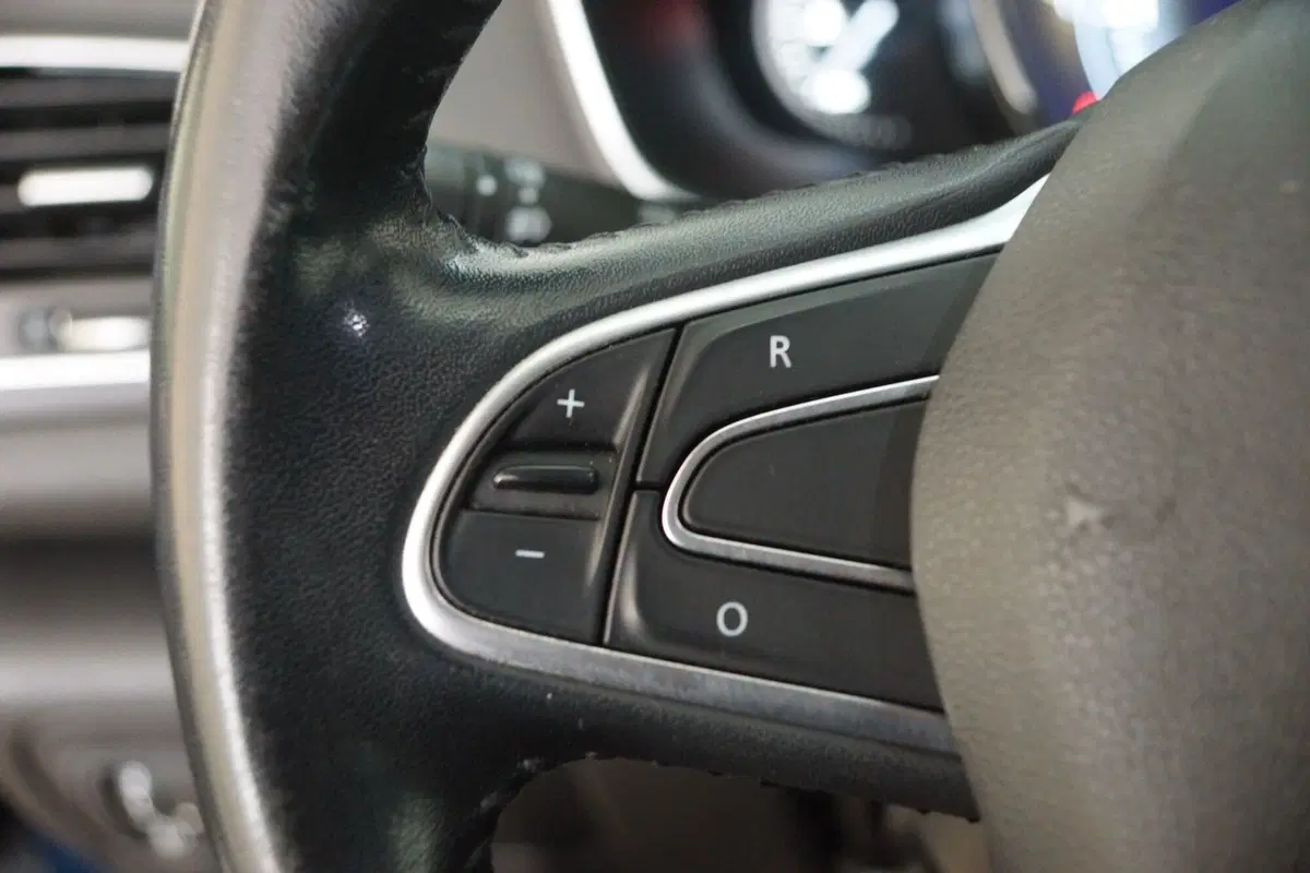 Renault Mégane Sporter usata a Torino (11)