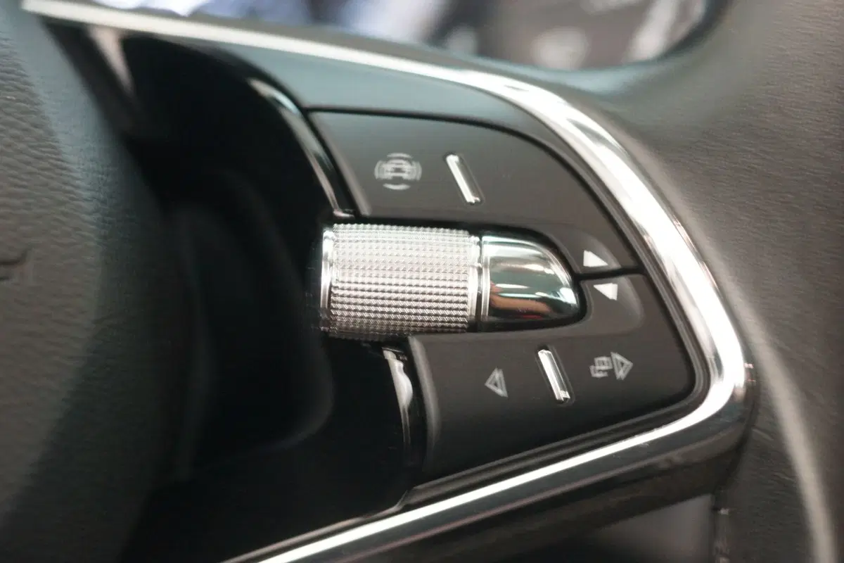 Skoda Kodiaq usata a Torino (16)