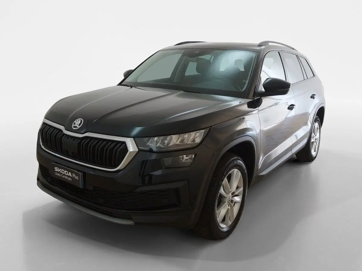 Skoda Kodiaq usata a Torino (3)