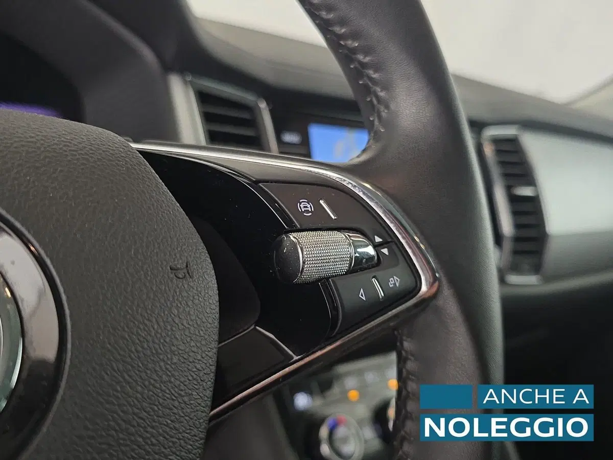 Skoda Kodiaq usata a Alessandria (19)