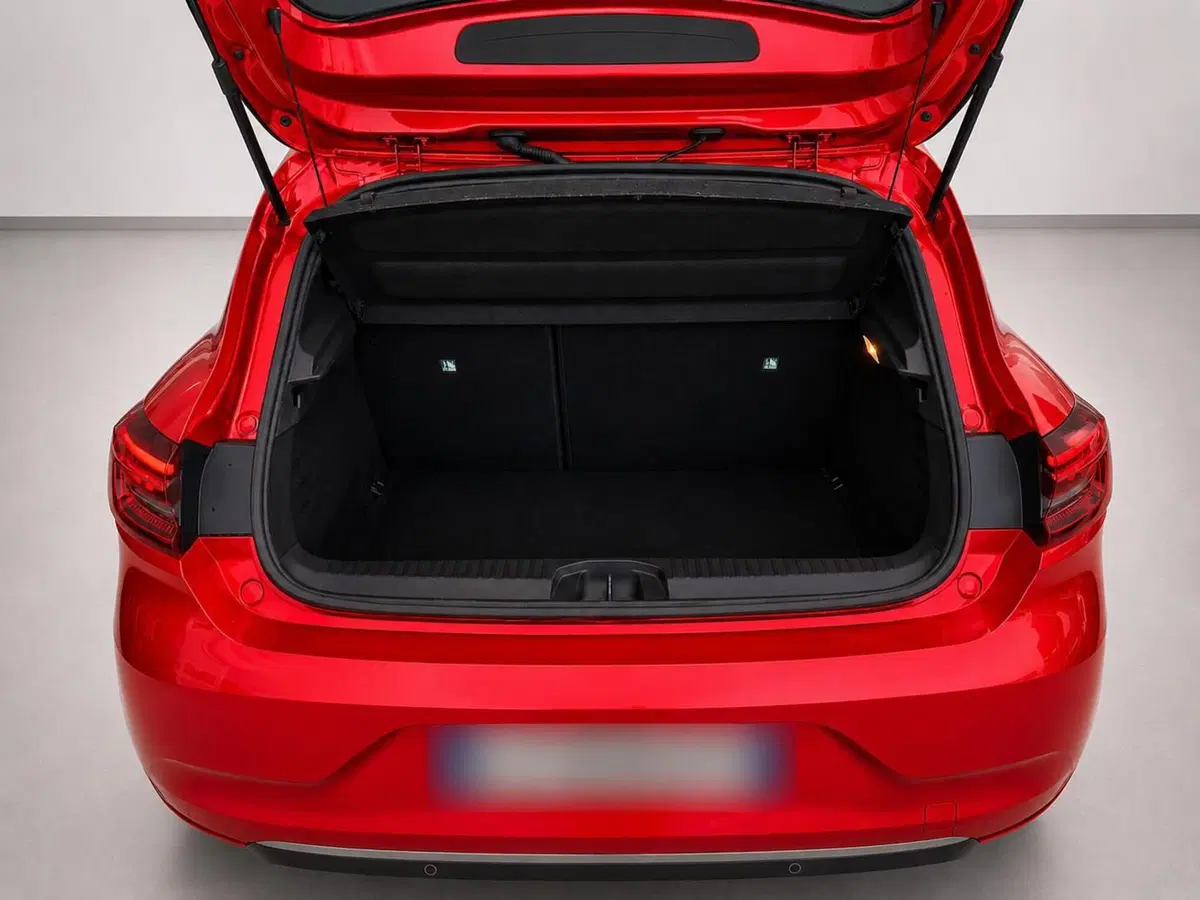 Renault Clio usata a Rimini (7)