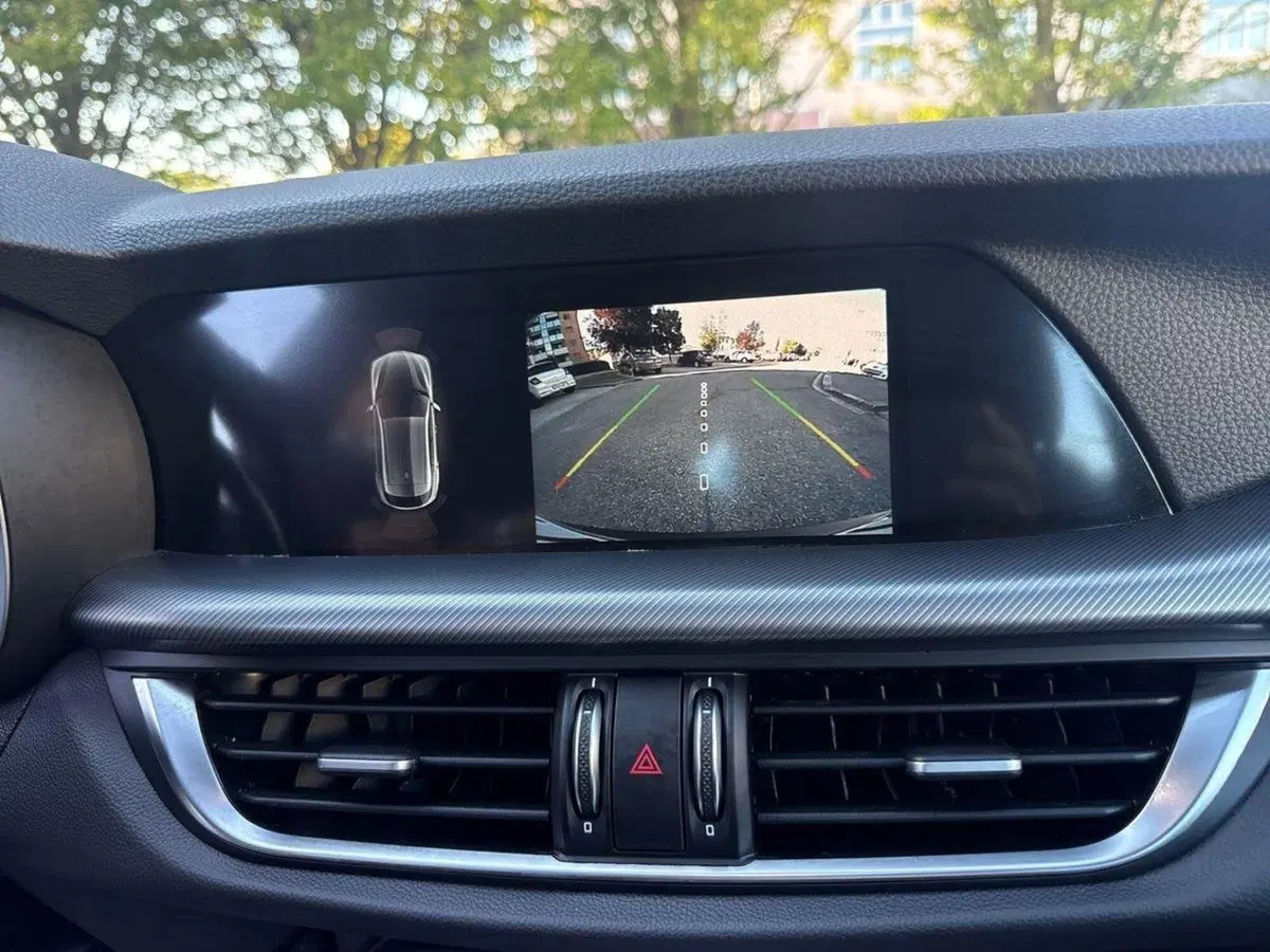 Alfa Romeo Stelvio usata a Firenze (19)