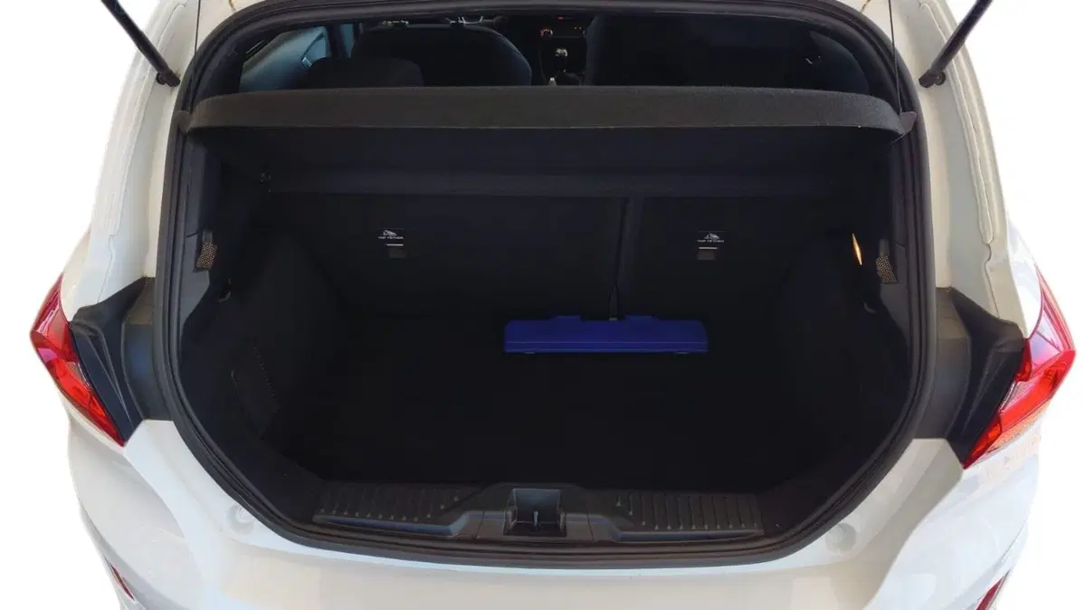 Ford Fiesta usata a Firenze (8)