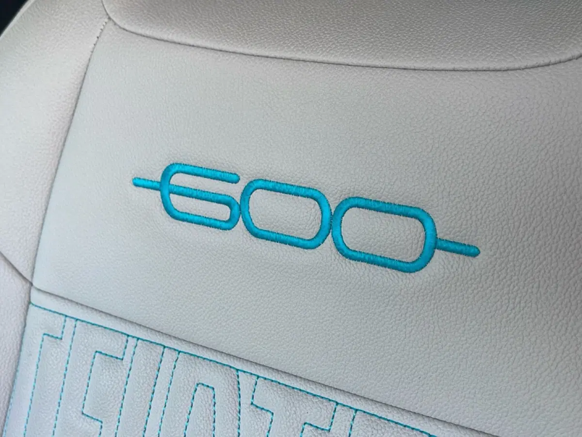 Fiat 600 usata a Frosinone (16)