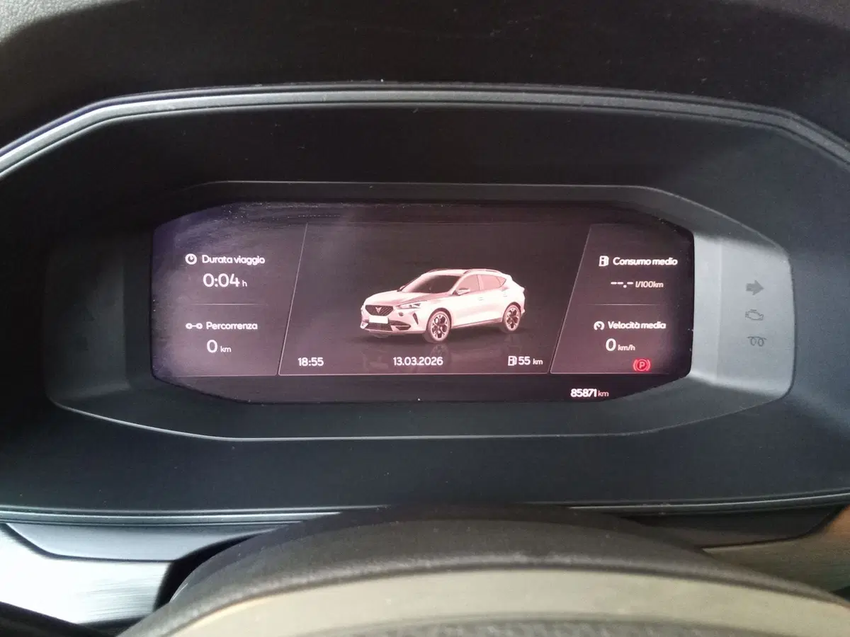 Cupra Formentor usata a Rimini (10)