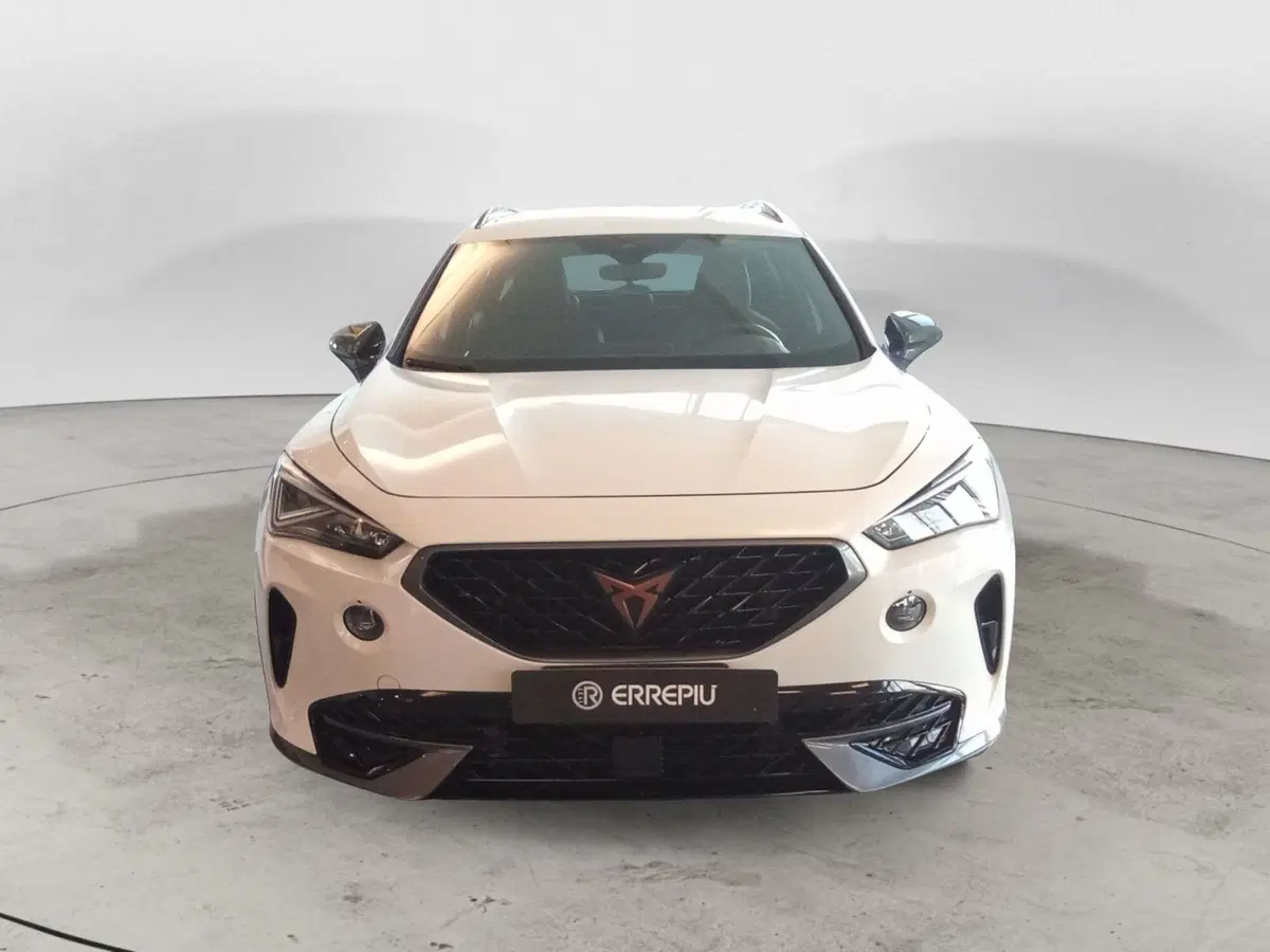 Cupra Formentor usata a Rimini (5)