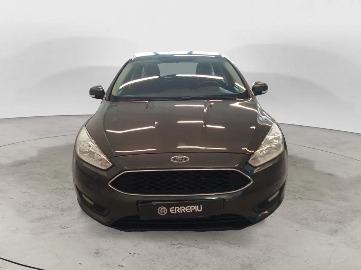 Ford Focus usata a Rimini (3)