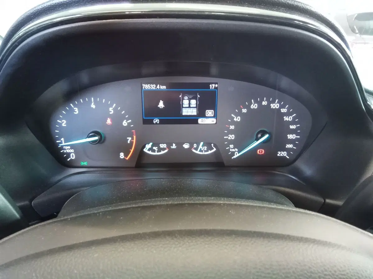Ford Puma usata a Rimini (18)