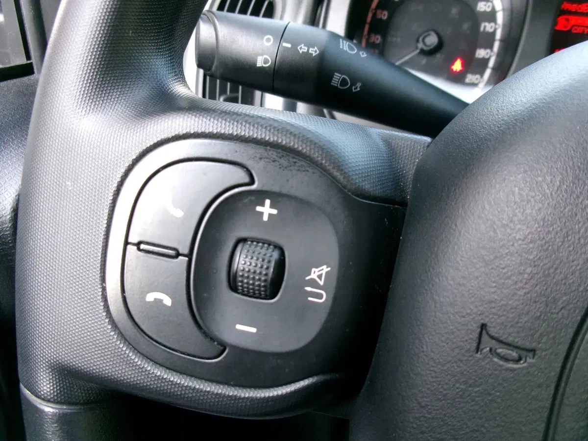 Fiat Panda usata a Venezia (14)