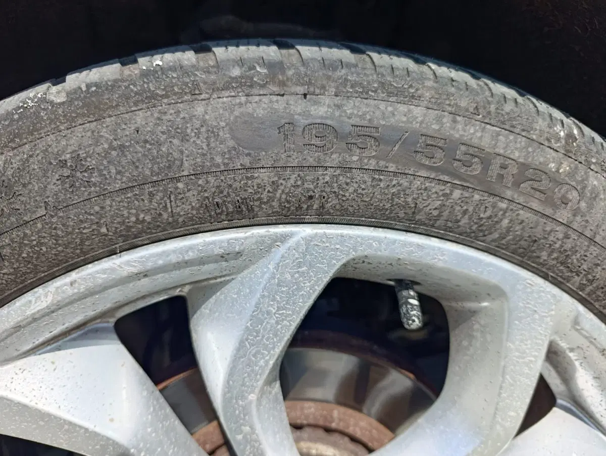 Renault Scénic usata a Massa-Carrara (14)