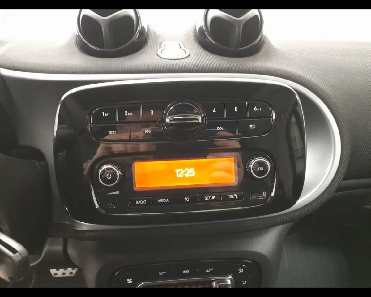 smart Fortwo usata a Alessandria (13)