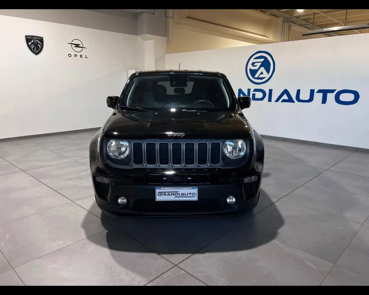 Jeep Renegade usata a Asti (3)