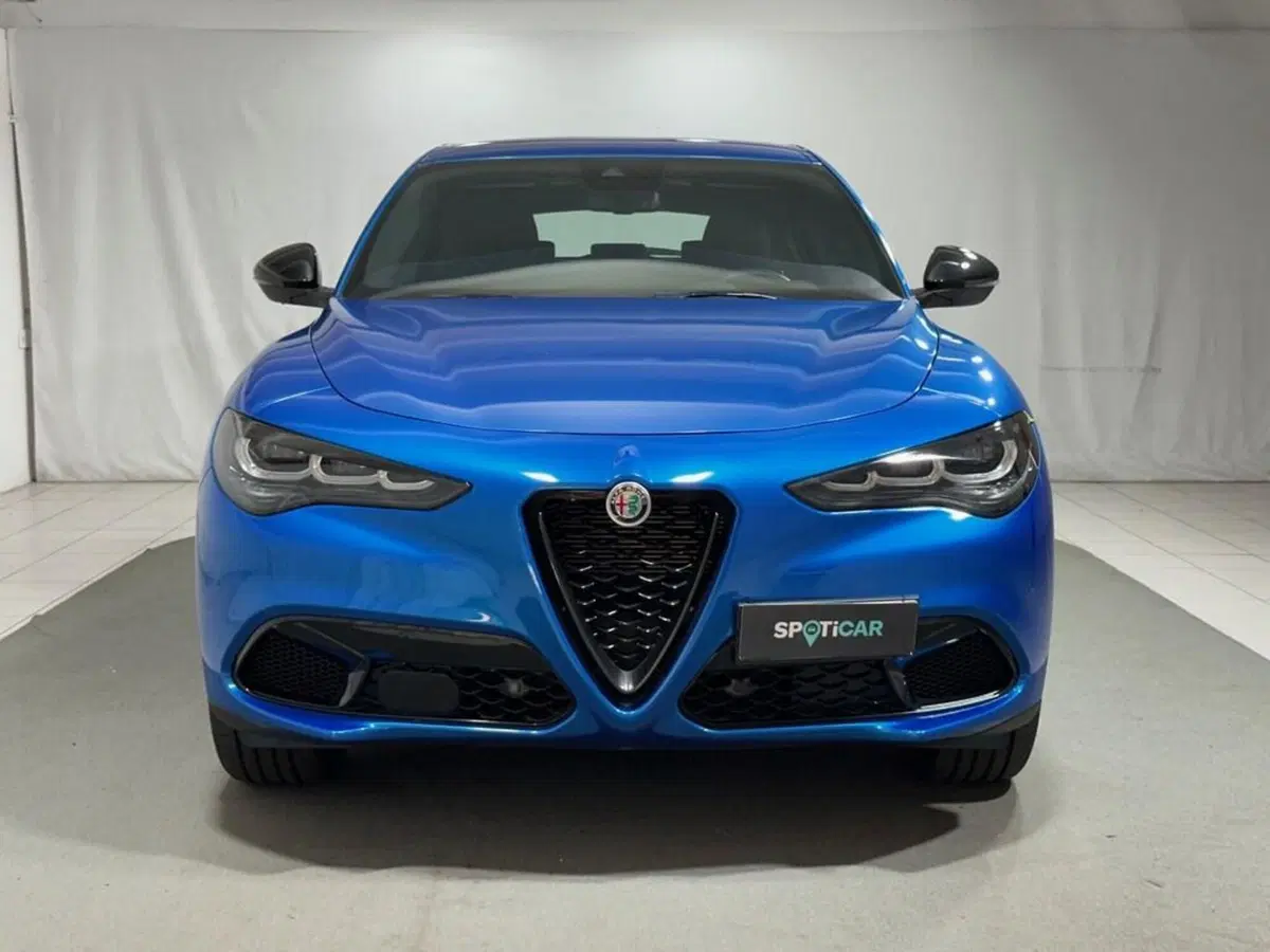 Alfa Romeo Stelvio usata a Sondrio (8)